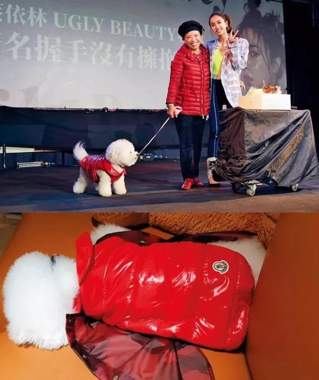 上万元的Moncler羽绒服让明星抢着穿，买过的来说说好在哪