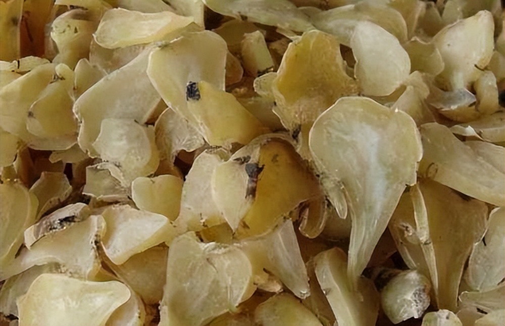 生附子图片大全(3种中药已被国家药典禁用) - 赤虎壹号