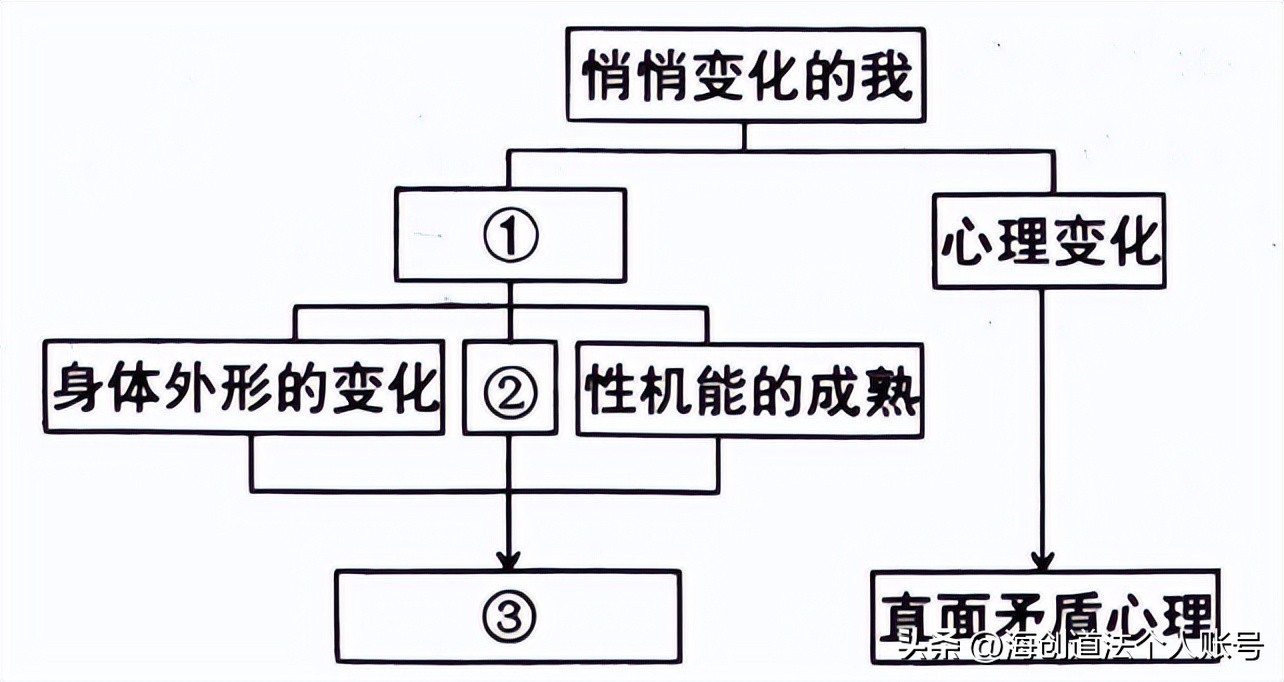 每日两练：道德与法治七年级下册第一课青春的邀约