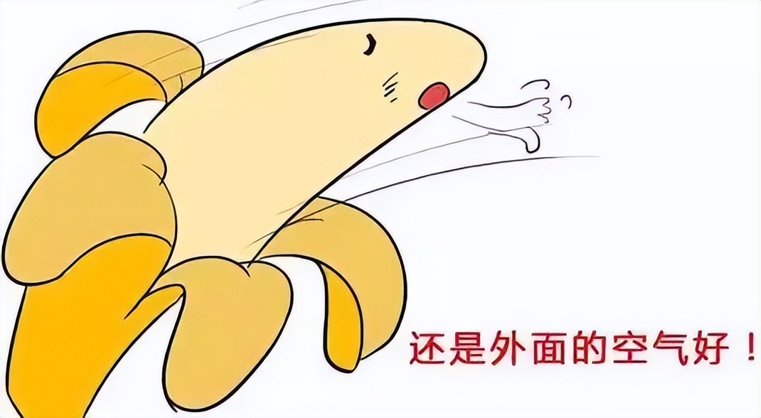 割包皮,并不是每个男孩的刚需?