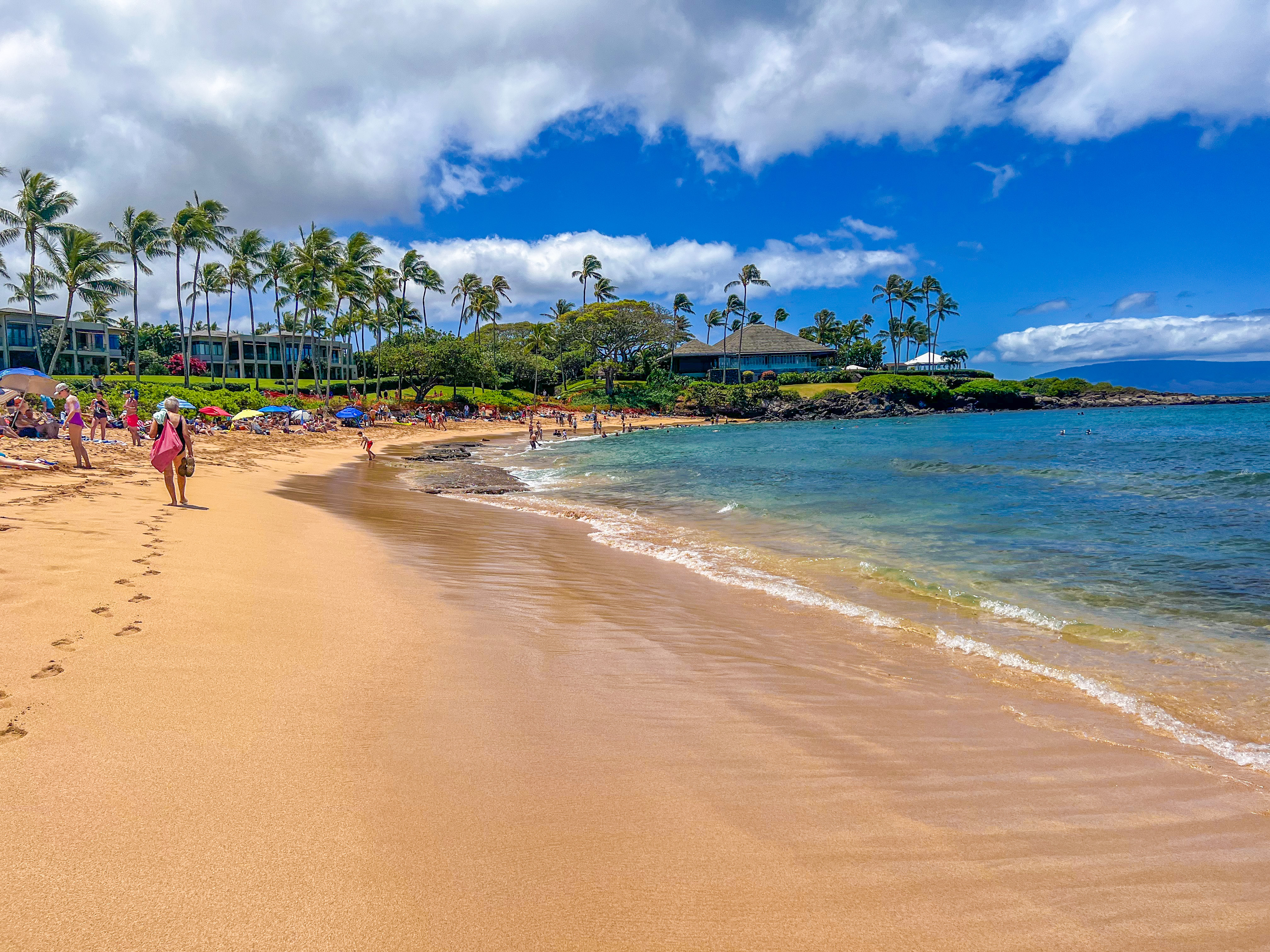 美国东海岸旅游(海龟同游) - 悦闻天下