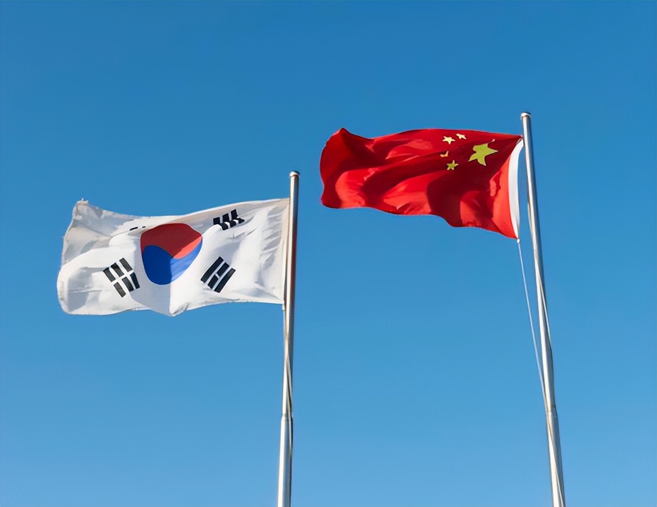 ָзڻƺʯ꾮кϵٿ飬ͳӥ