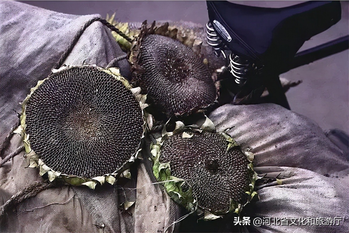 德国摄影师拍摄的80年代中国美食