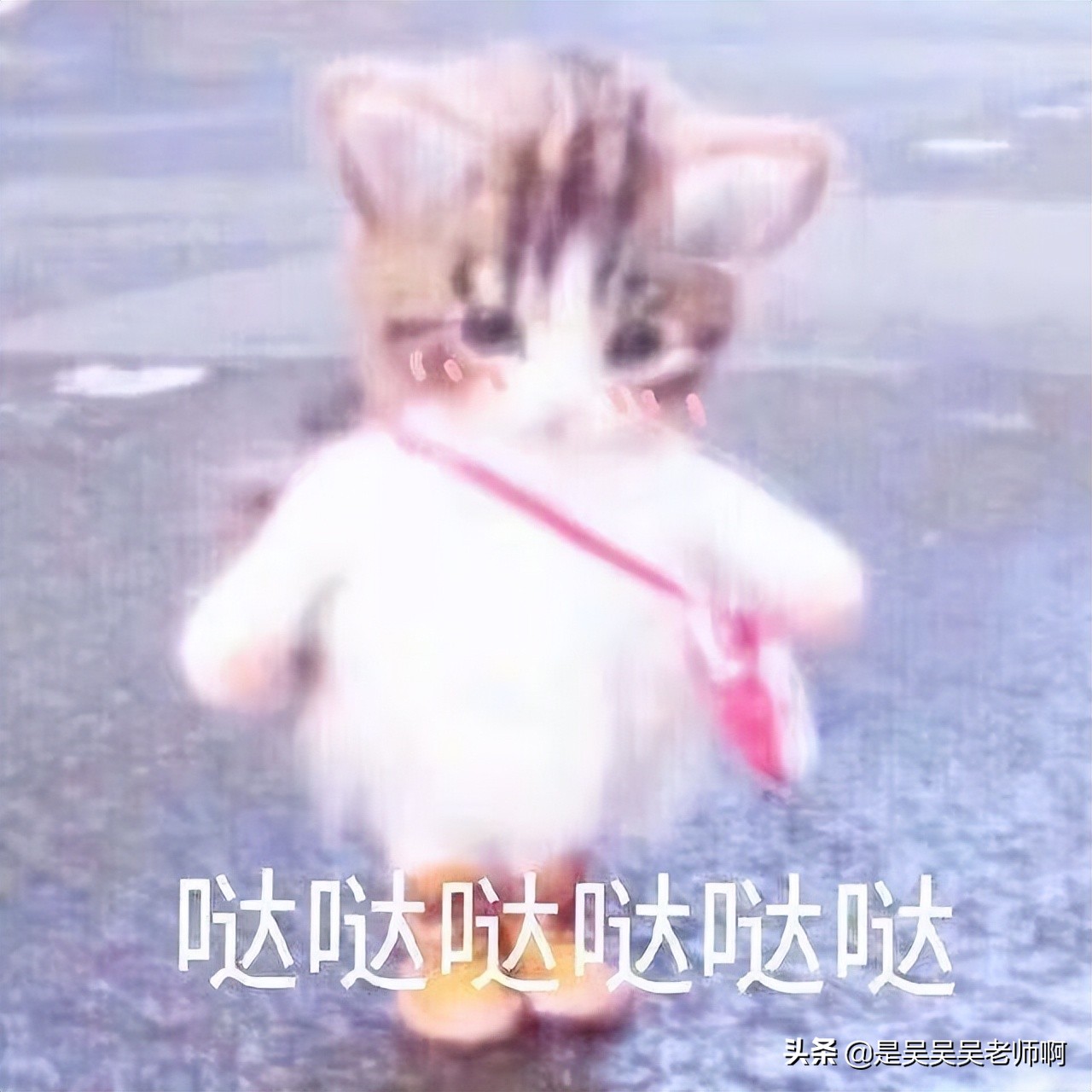 2022成人高考是什么，跟普通高考有什么区别？