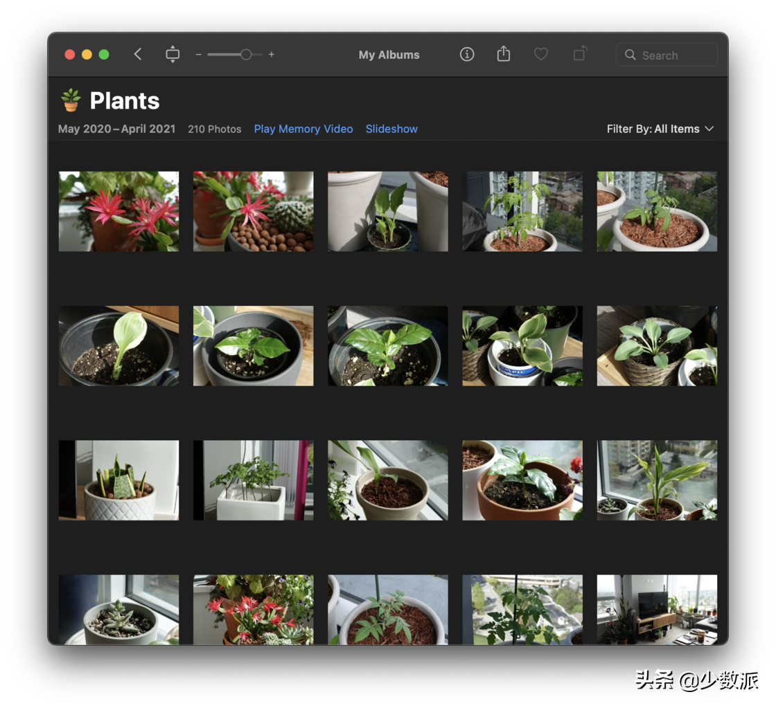 给居家植人的礼物，我为家里的花花草草写了一个 App：植物宝