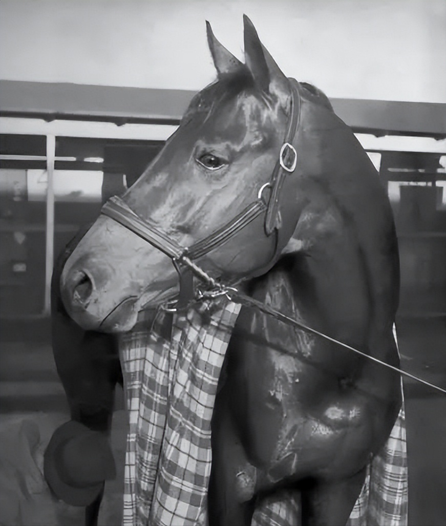 比电影更励志,比传奇更传奇——《奔腾年代》原型