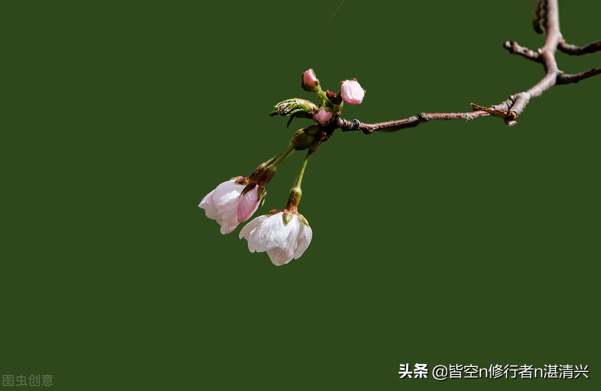 人生一世，缘起缘灭，皆有定数，一切皆是命中注定