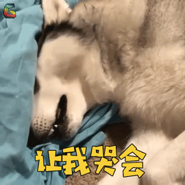 狗狗“流眼淚”，真的是“傷心”嗎？
