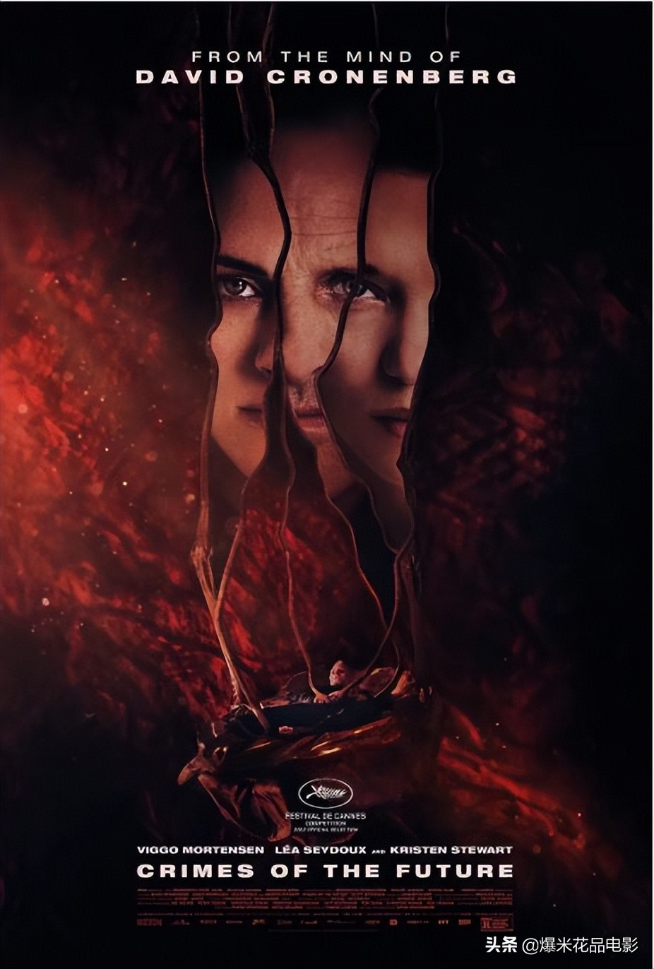 从《猫王》到《壮志凌云2》：2022 戛纳电影节首映的10 部佳作