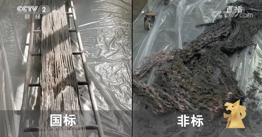 今年3·15晚会，画面“不忍直视”，中国人只骗中国人？