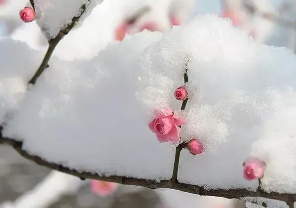 一川雪色，满城烟火，万丈红尘中，闲情几许？