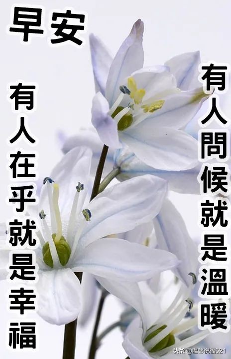 早上好,给老板道声好,祝您乘祥云,日进斗金