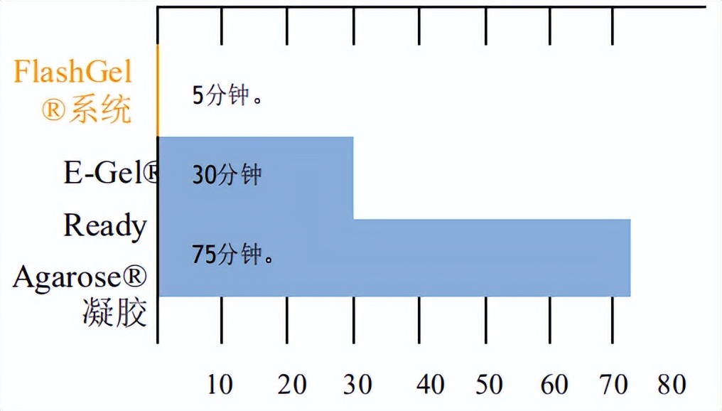 5mins分离32个样品，核酸电泳的利器——FlashGel闪胶系统