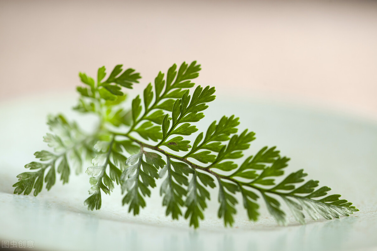 写作路上，少谈坚持，多谈热爱