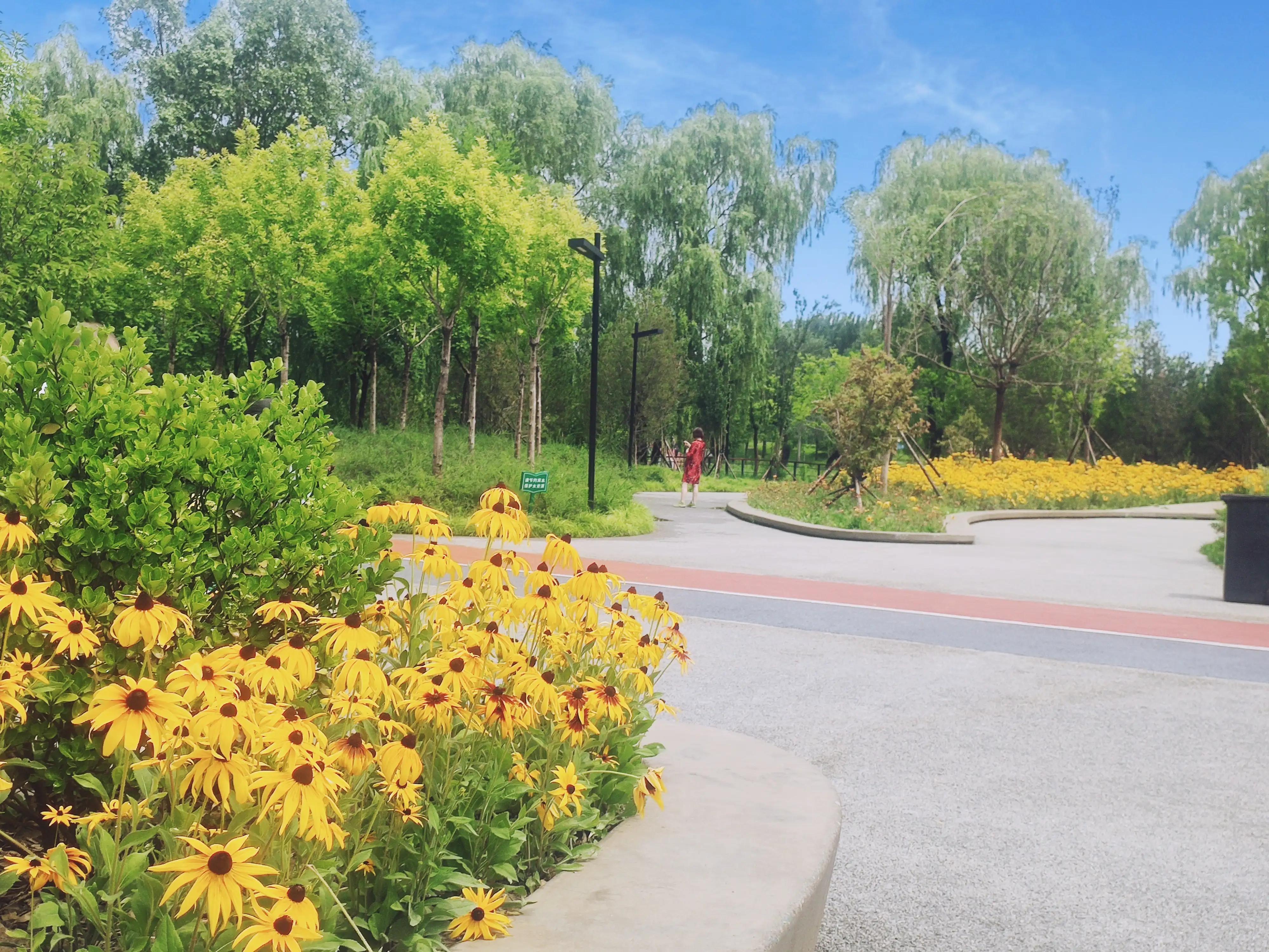 霍营公园,这才叫天籁之音