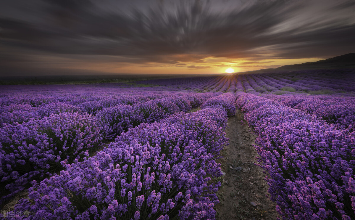 有着"塞外江南"之称的伊犁,有那拉提,巴音布鲁克,托乎拉苏大草原毡房