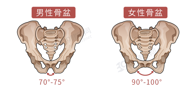 男人的乳头有啥用？让男性害羞的6个身体秘密，一个比一个尴尬