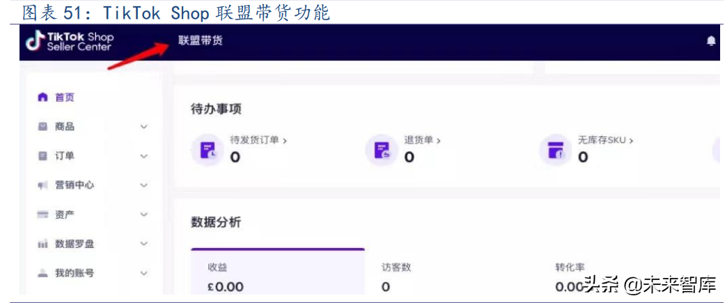 海外互联网行业TikTok专题报告：展望未来，机遇与挑战并存