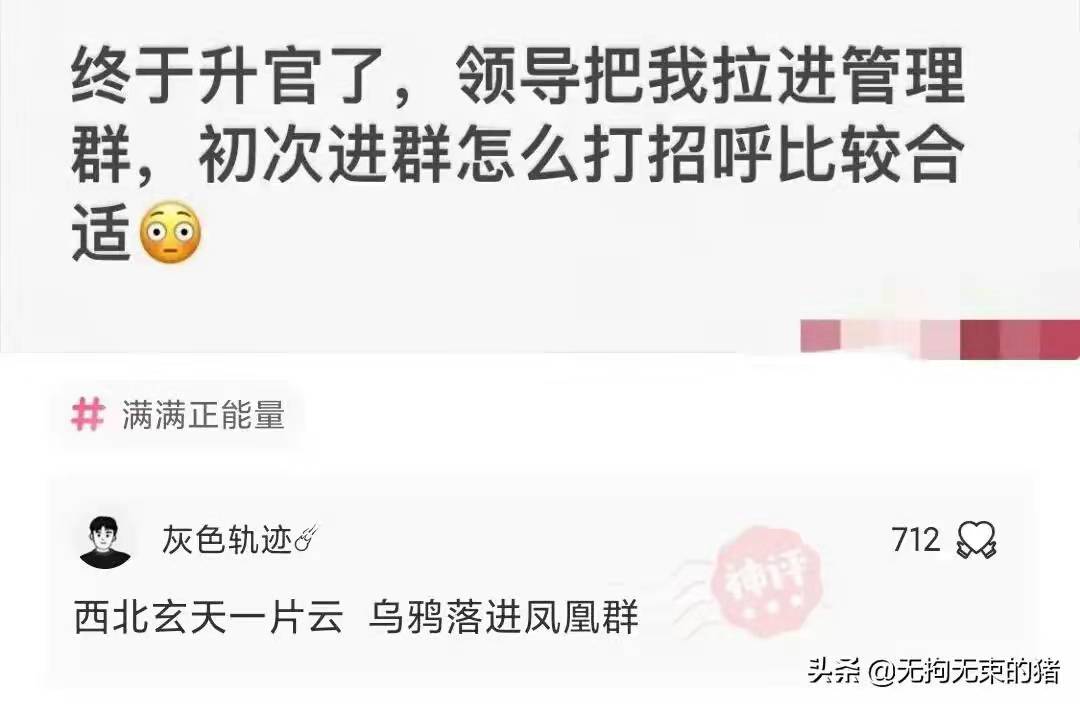 神回复：终于升官了，领导把我拉进管理群，初次进群怎么打招呼？
