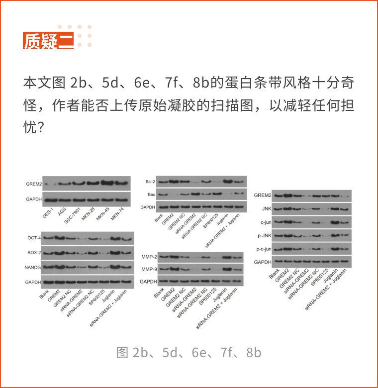 细胞结果图风格迥异，中国医科大学第一附属医院的论文被撤稿
