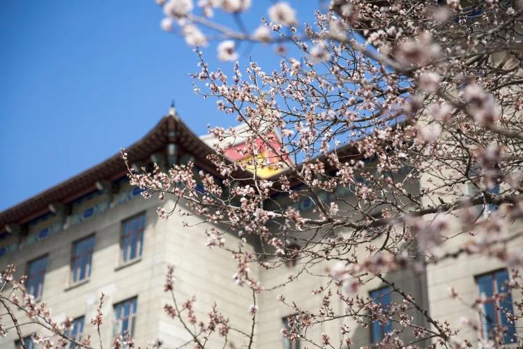 哈尔滨工程大学：所在地、名气真的不算优秀，但却是求学的好去处