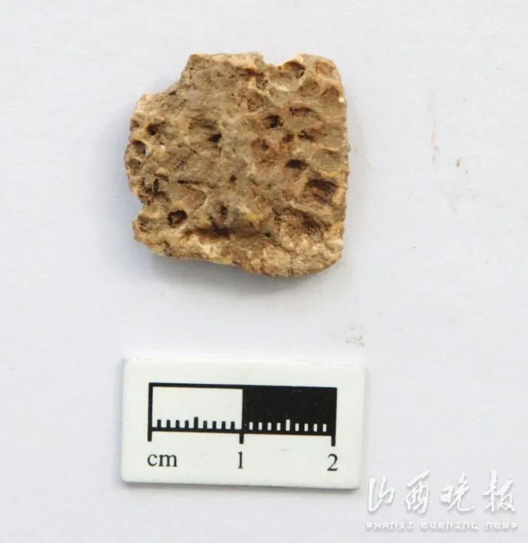 山西六大重要考古发现背后，有哪些不为人知的秘密？