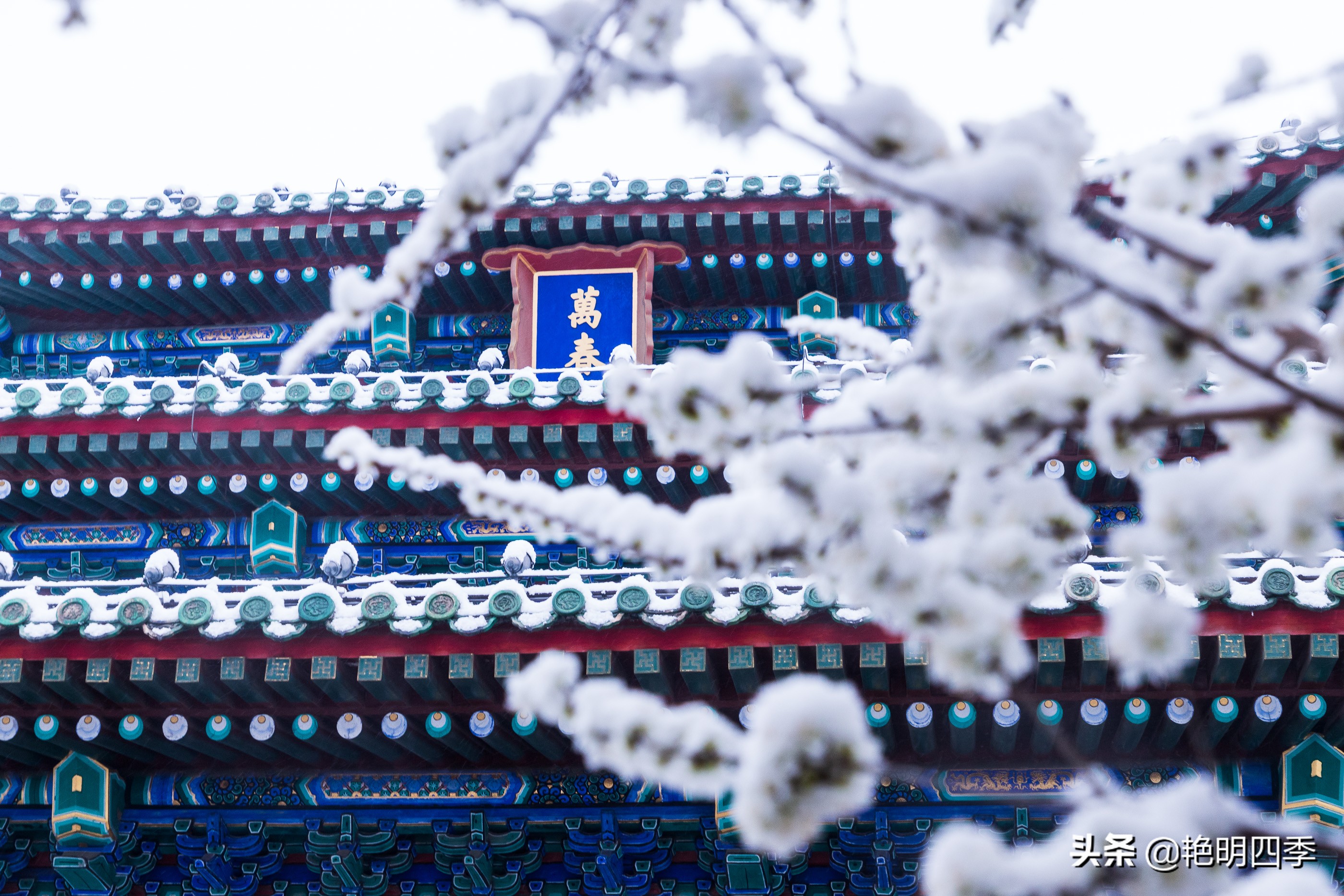 春天里，在紫禁城看一场大雪，与冬天做一个郑重的告别