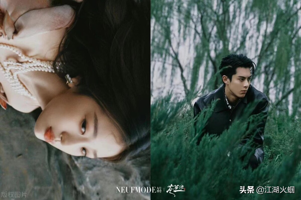 八卦：刘诗诗 谢霆锋 殷桃 杨幂 谭松韵 刘德华 黄渤 陈伟霆 虞书欣 胡一天