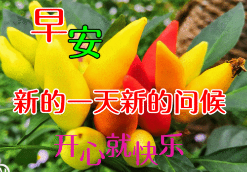 微信精选唯美早上好祝福图片，美好的清晨朋友们早上好图片