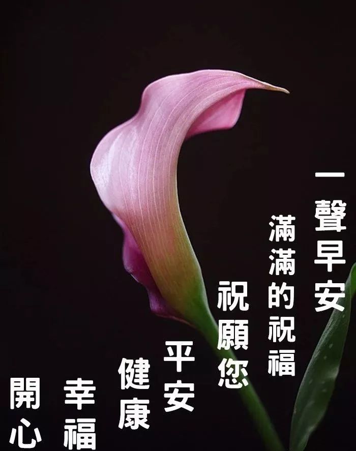 周五最新早上好表情包，事事美好，平安顺心、天天快乐图片