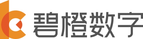 十大电商代运营公司 中国十大电商公司排行榜