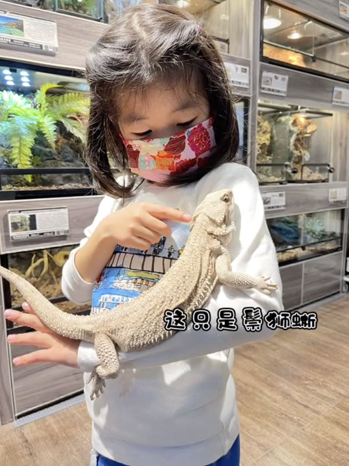 章子怡带女儿滑雪，醒宝用一天半时间掌握技能，单手叉腰很神气