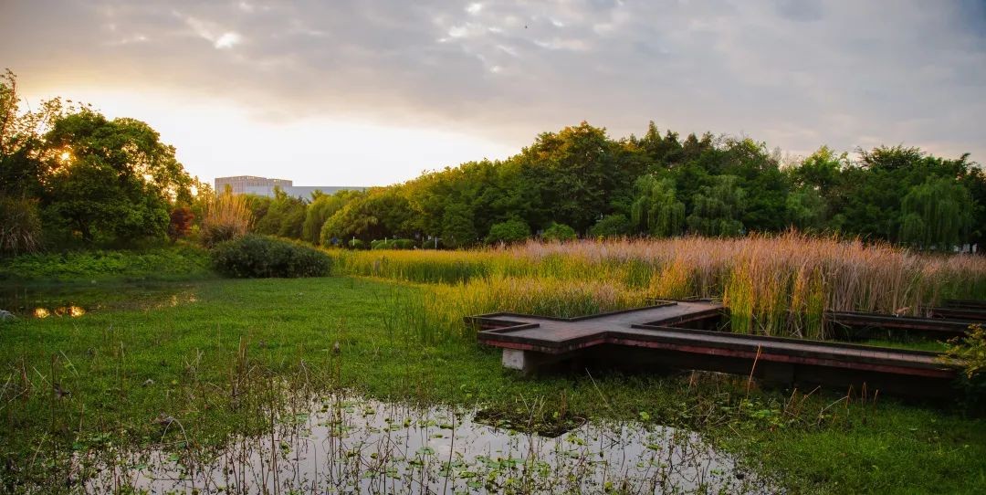 有颜有才！四川“女神博士”参与科技部重大专项，狂发21篇学术论文！