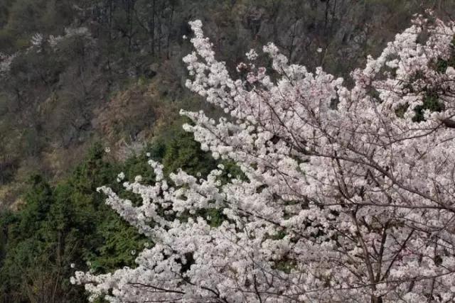 官宣！2月16日起西河景区免门票