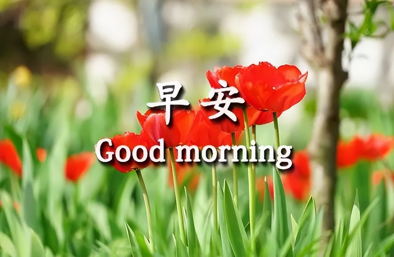 早上好微信早安励志分享 ,励志早安说说 心之所以烦恼 是放下的太少图片