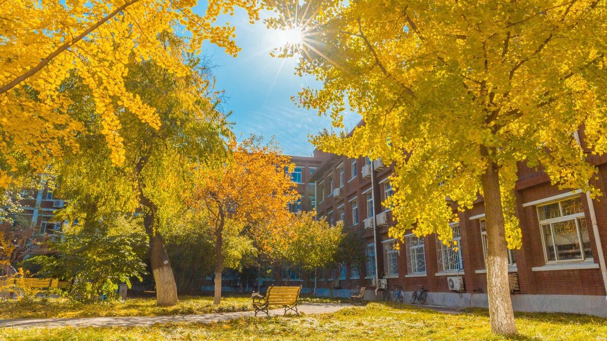 山东高考位次13万多的学生，报考这5所大学，未来不愁好就业