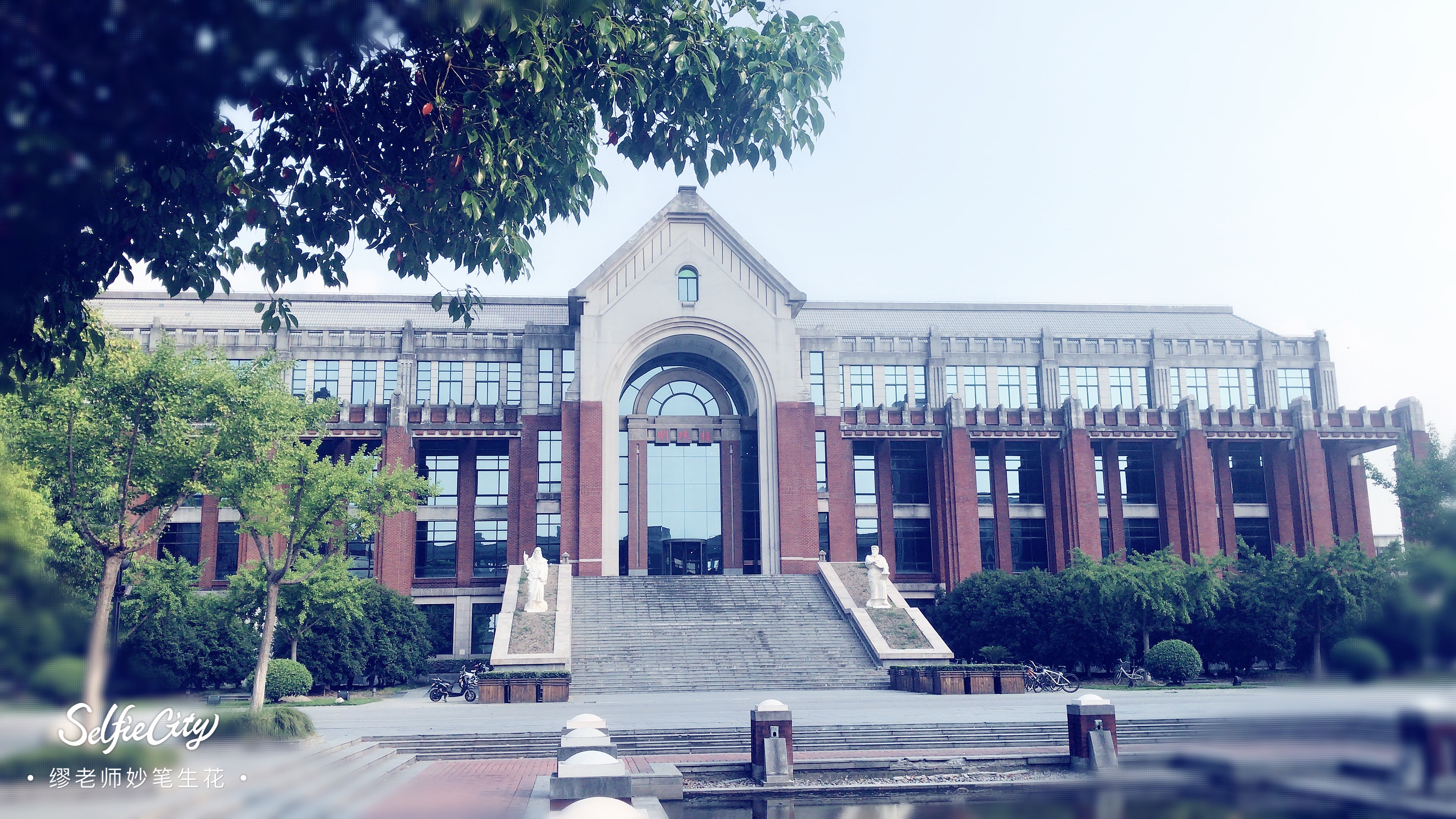 3000字详解：高考志愿中的点、线、面、体