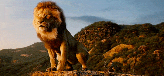 重磅更新！比《侏罗纪世界》还好看的恐龙纪录片终于上映了