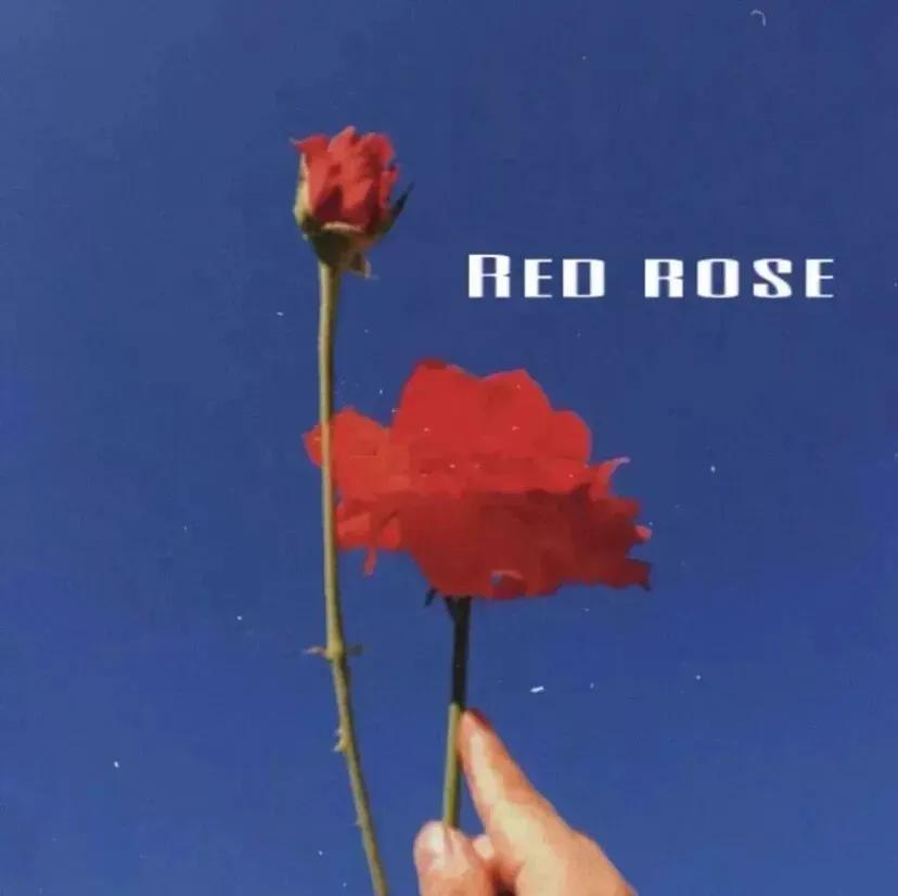 简短又励志的高质量个性签名