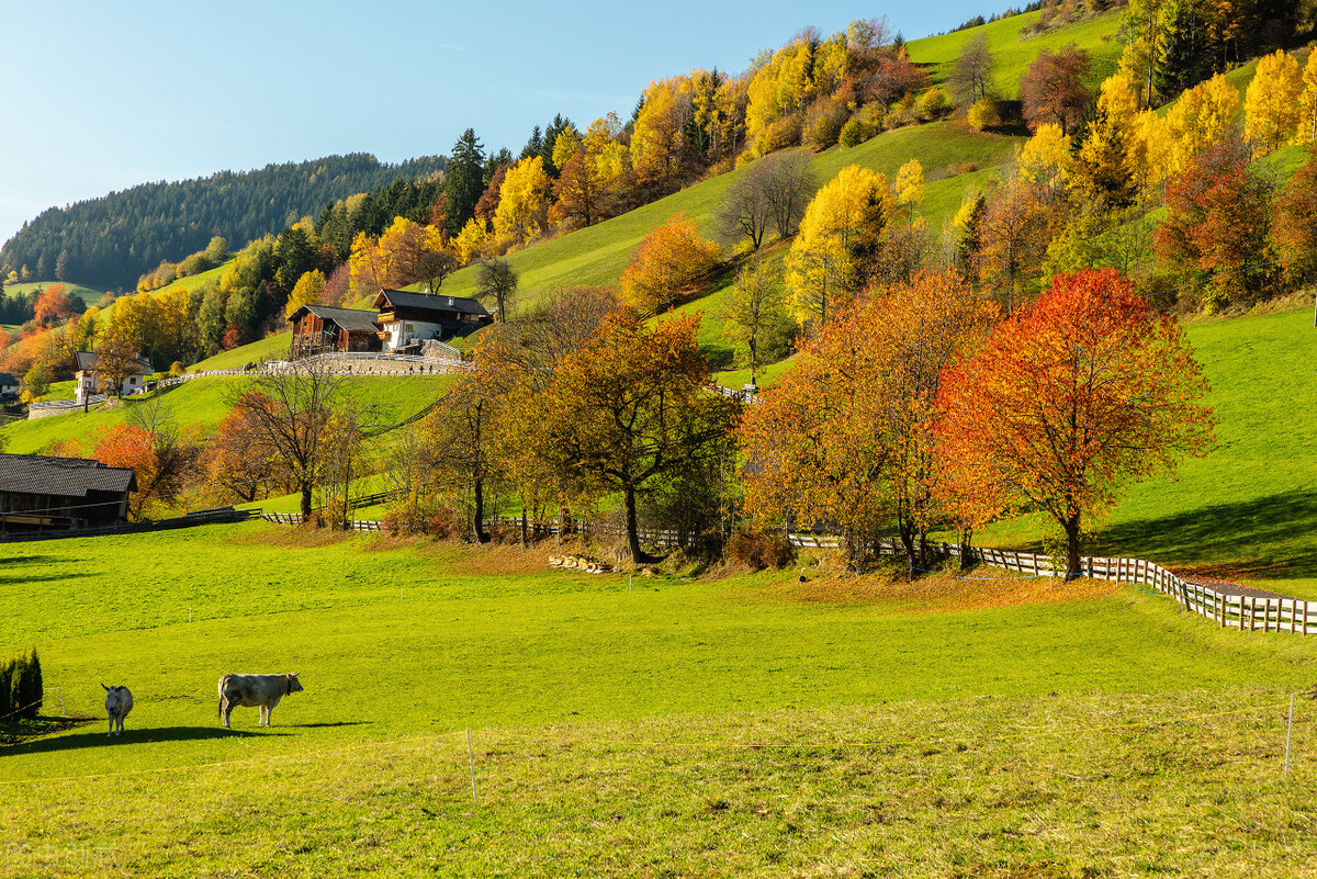 离职发言的关键在于要述旧情，尽可能触动听众情感，引起情绪共鸣