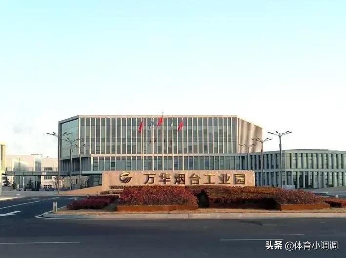 烟台最强的企业是南山集团还是万华集团？