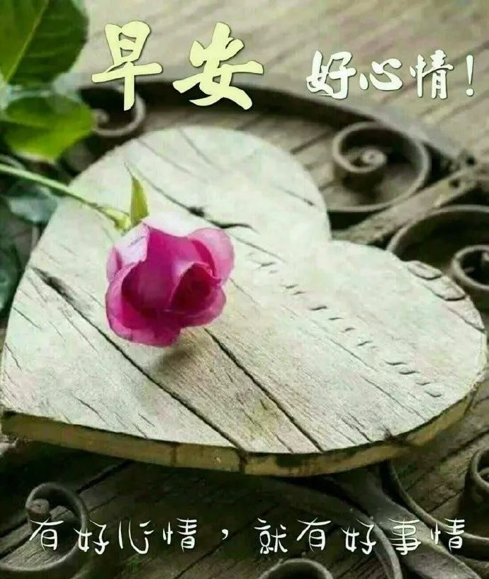 星期三早上好表情包动图更新 愿你快乐好心情图片