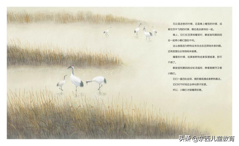 圣诞节没有惊喜（圣诞节给什么惊喜给她）