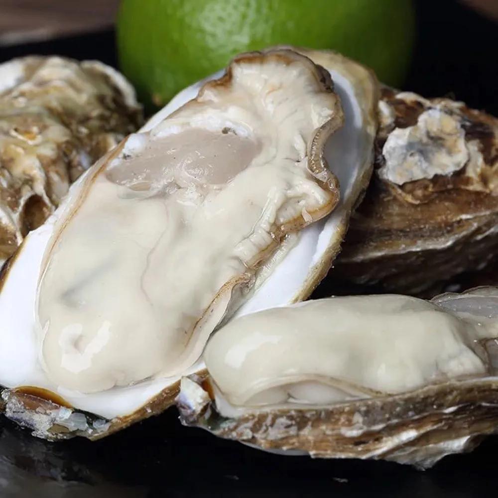 常见海鲜的名称和图片(盘点15种常吃的小海鲜) - 赤虎壹号