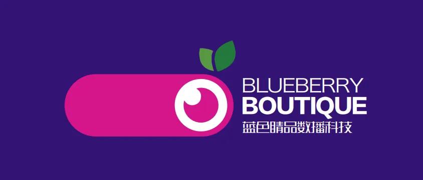 野生蓝莓系列产品营销方案（一）