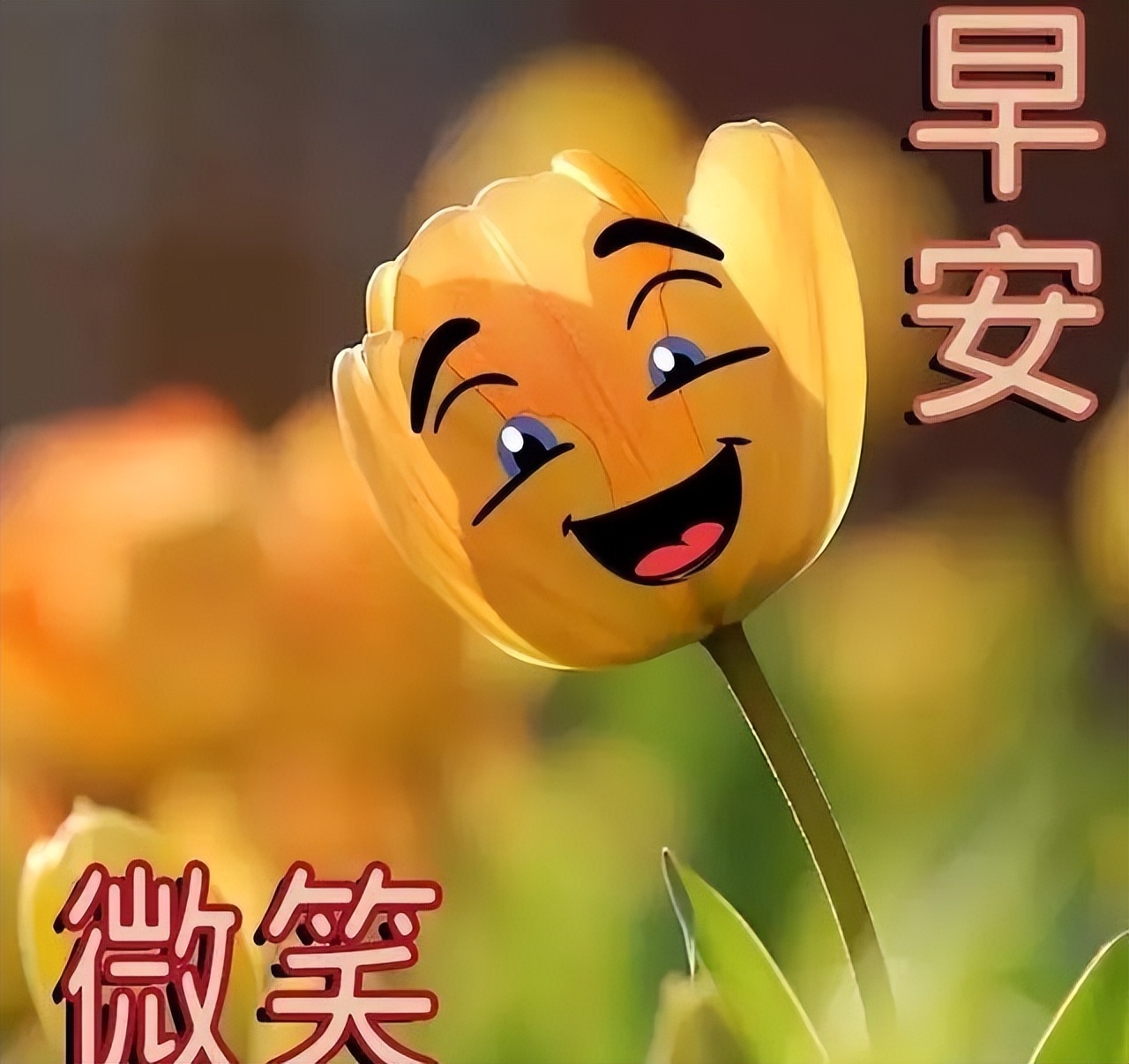 周日清晨暖人心的早上好问候语 一份友情，彼此永远珍藏在心底图片
