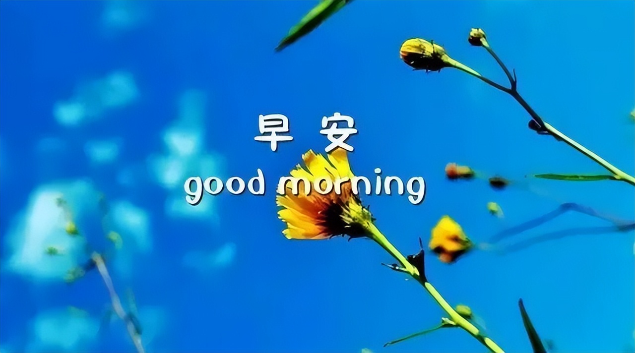 微信朋友圈非常美丽的早上好问候语图片 愿你平安幸福 天天好心情图片