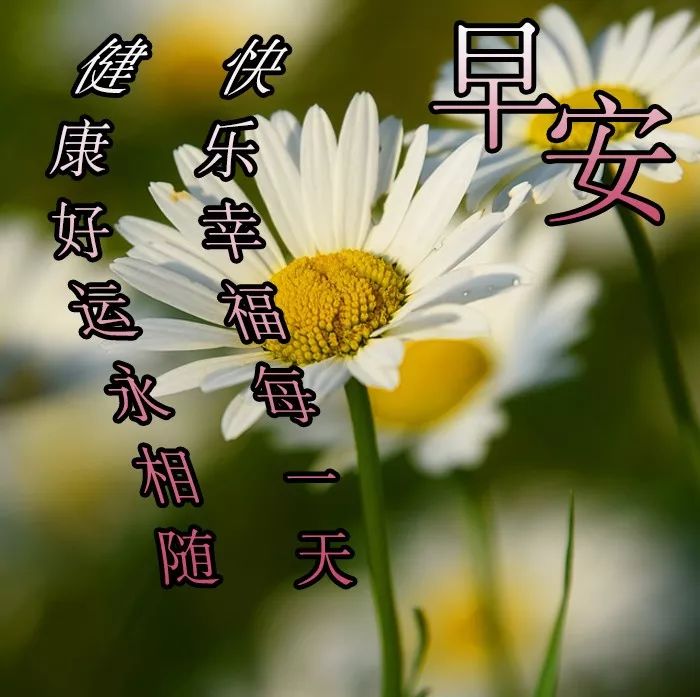 周日早上好，珍惜真正的朋友，感受友谊的温暖图片