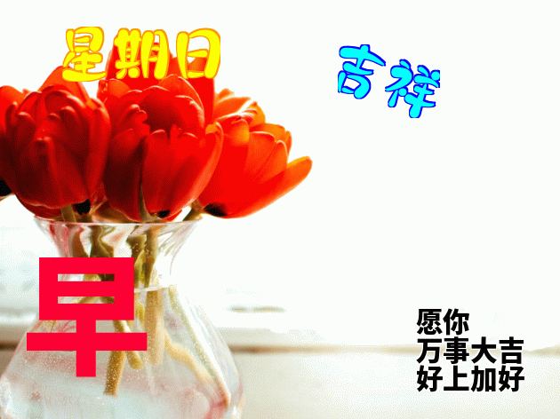 周末早上好早上好问候语大全 早上好表情包 天天好运道，日日福星照图片