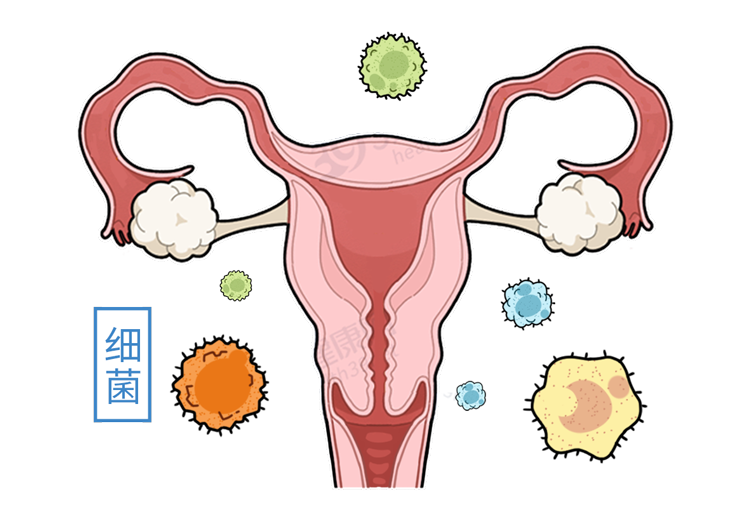 男性结扎和女性结扎，哪个伤害更大？男性结扎会降低性能力吗？